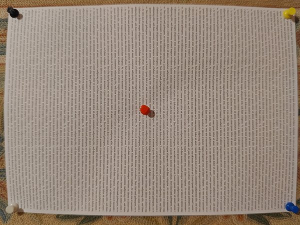 33cm formatfüllend ohne MM mit AF zentral.jpg 33cm formatfüllend ohne MM mit AF zentral.jpg