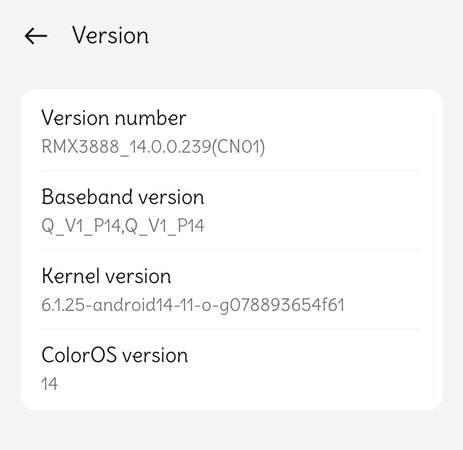RMX3888_11_A.30 Version.jpg