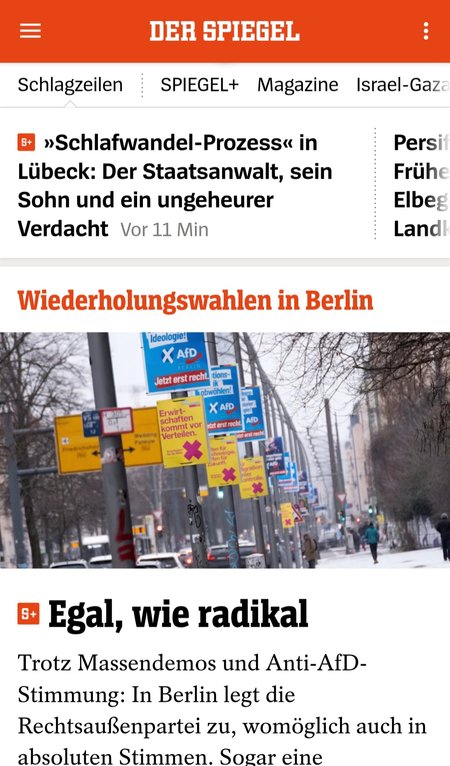 Screenshot_20240212_192652_DER SPIEGEL.jpg