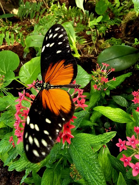20240213_125604.jpg