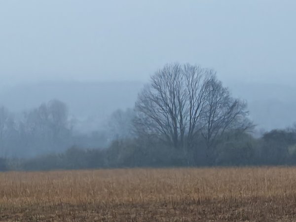 IMG_20240214_090014.jpg