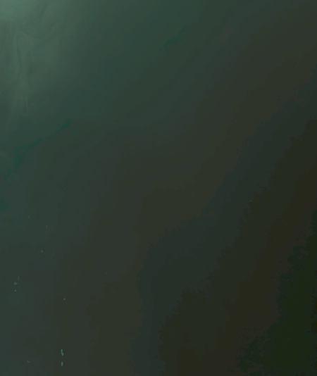 1707903049805.png