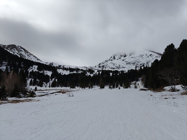 IMG20240218101450.jpg