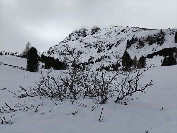 IMG20240218103700.jpg