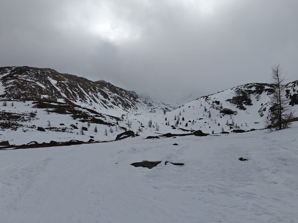 IMG20240218105553.jpg