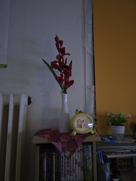 S24 ultra lowlight 2.jpg