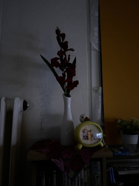 15pm lowlight 2.JPG