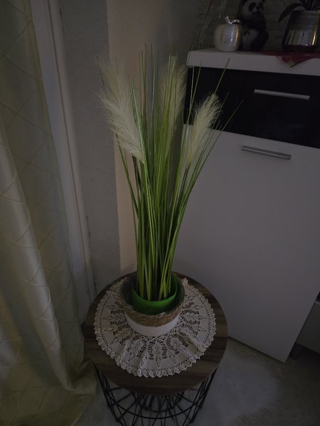 S24 ultra lowlight 3.jpg