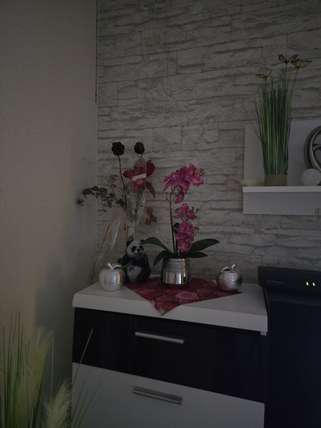 S24 ultra lowlight 4.jpg