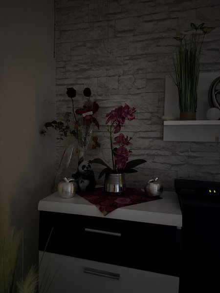 15pm lowlight 4.JPG