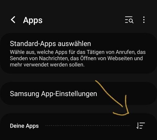 Screenshot_20240219_173348_Settings.jpg