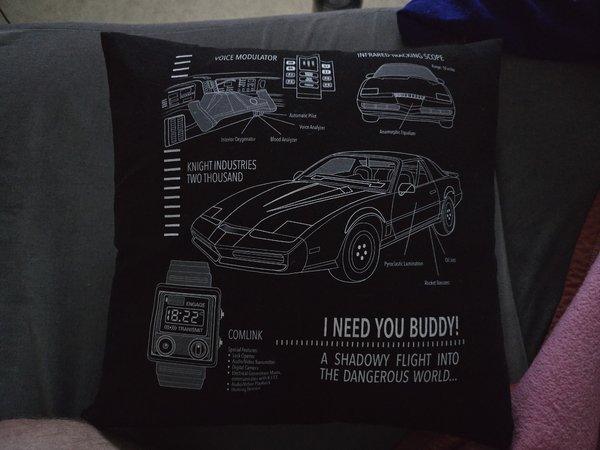 S24u Kitt Kissen lowlight .jpg