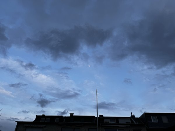 IMG_4516.jpg