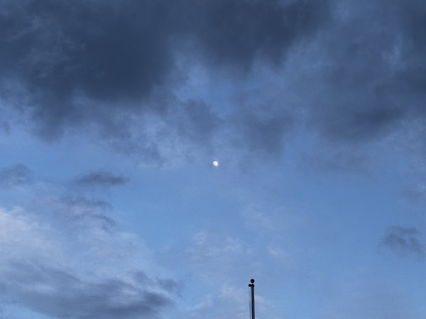 IMG_4517.jpg