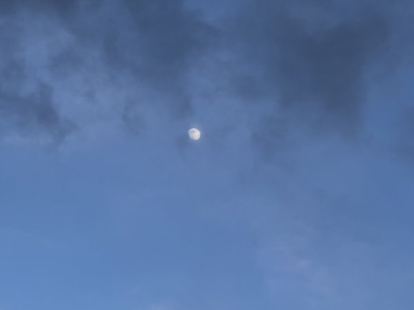 IMG_4518.jpg