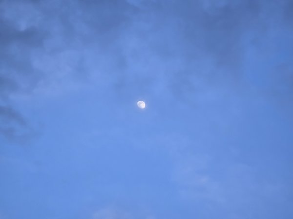 20240220_174654.jpg