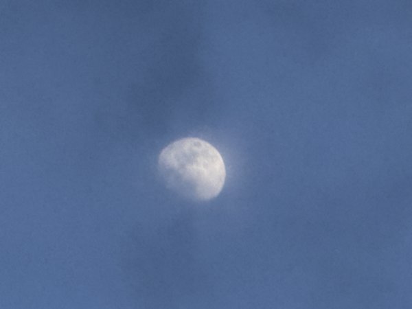 IMG_4519.jpg