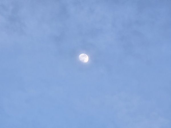 20240220_174655.jpg