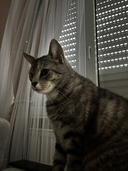 IMG_0092.jpeg