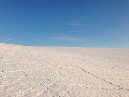 IMG_0121.JPG
