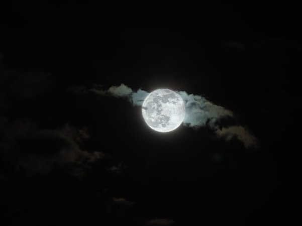 IMG_20240224_200624.jpg