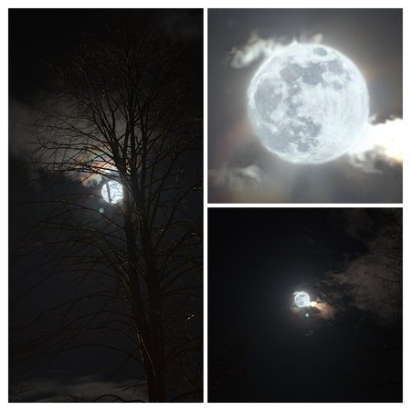 20240224_193745-COLLAGE.jpg