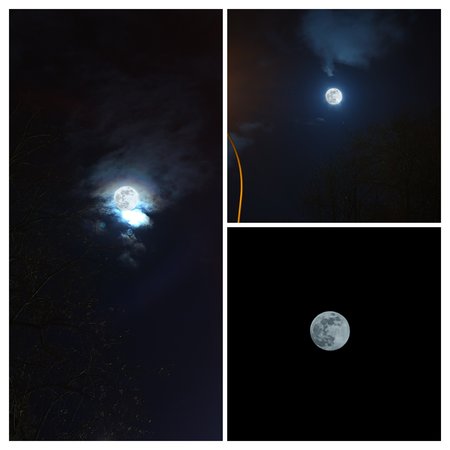 20240224_193850-COLLAGE.jpg