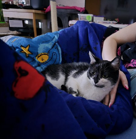 24u Katze nightmode .jpg