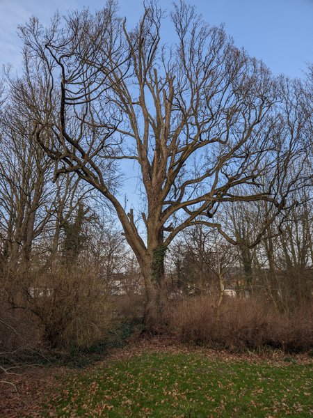 Gcam_20240228_164136831.jpg