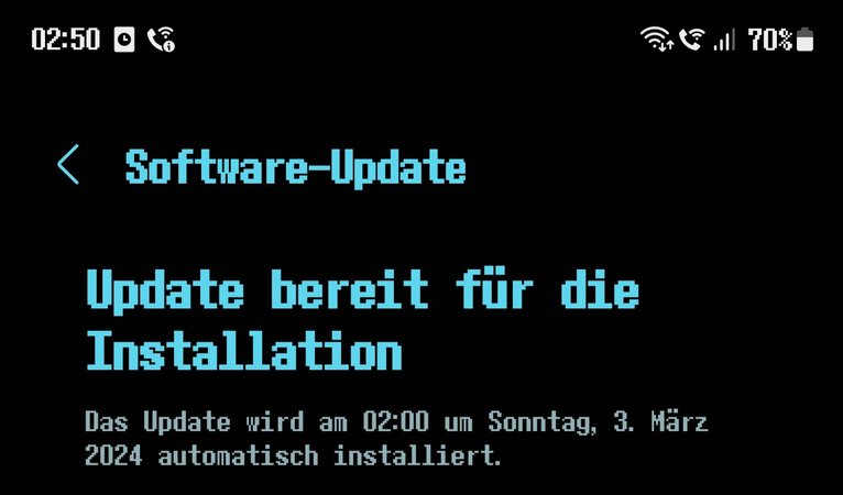 Screenshot_20240302_025014_Software update.jpg