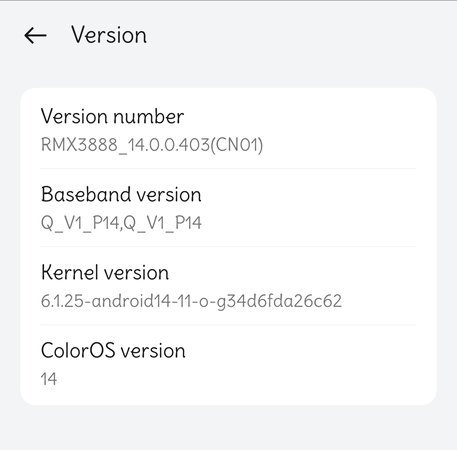 RMX3888_11_A.33 Version.jpg