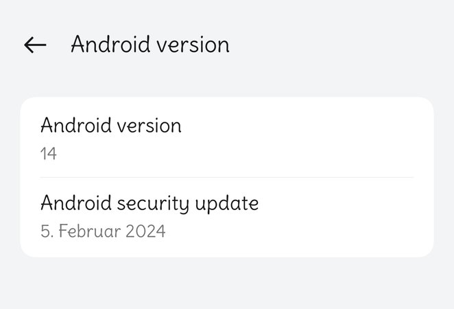 Februar Sec Patch RMX3888_11_A.33.jpg