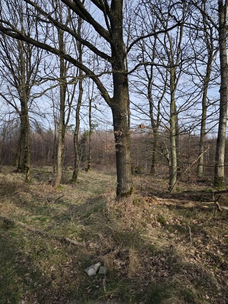 10 - x14.jpg