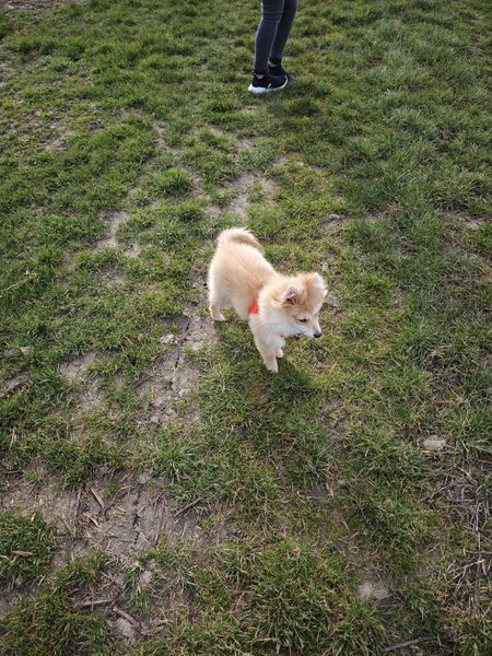 IMG_20240303_152929.jpg