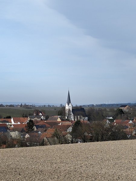 PXL_20240303_144048203.jpg