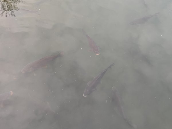 IMG20240303155525.jpg