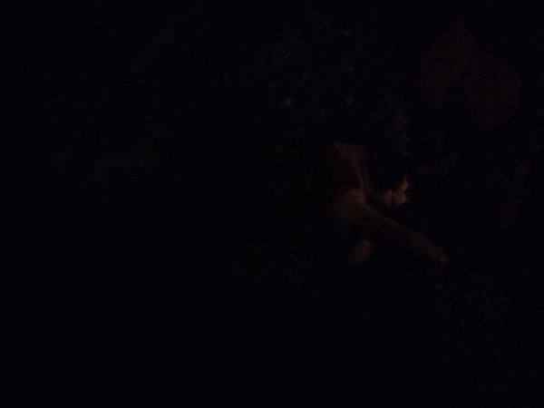 20240303_001848.jpg