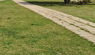 1709648939614.png