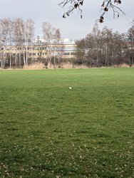 PXL_20240305_132018431.jpg