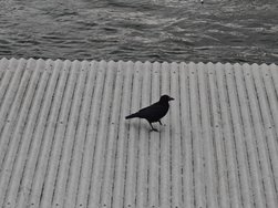 IMG20240305142359_Original.jpeg