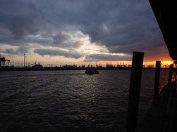 20240305_175036.JPG