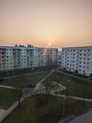 PXL_20240306_061915291.jpg