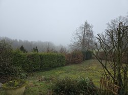 20240306_091254.jpg