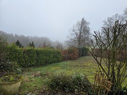 20240306_091245.jpg