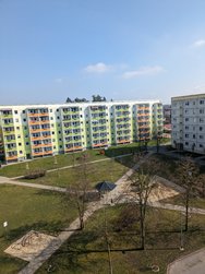 PXL_20240306_114316710.jpg