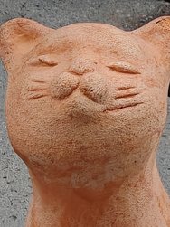 IMG_20240306_171252.jpg