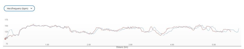 Blau GW6.JPG