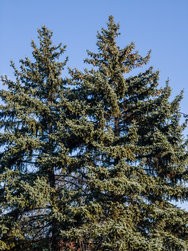 20240307_090215.jpg