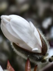 IMG_20240304_173033.jpg