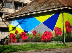 IMG_20240308_150924.jpg